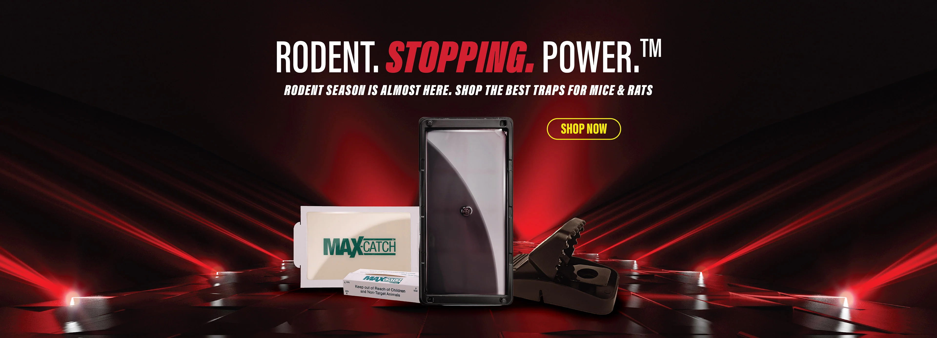 Welcome to Our Store